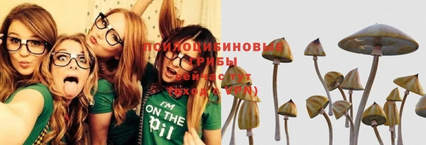 spice Алексеевка