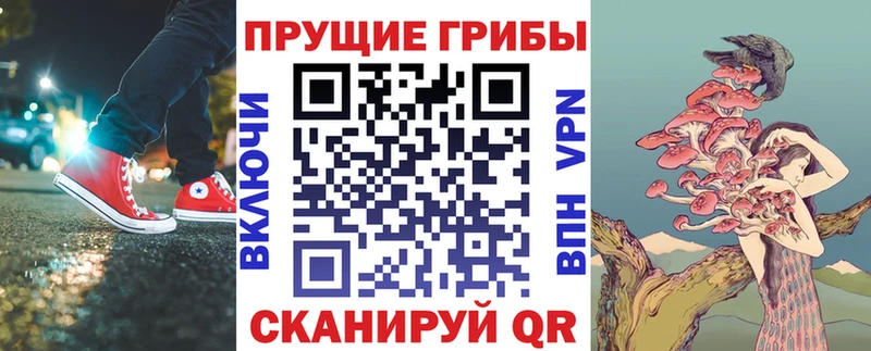Галлюциногенные грибы GOLDEN TEACHER  Полысаево 